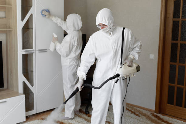 Best Commercial Mold Removal  in Hobart, OK