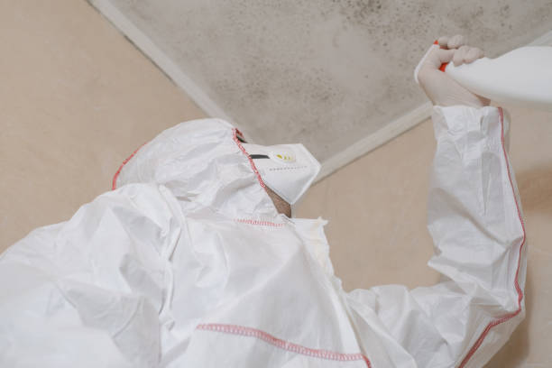 Office Mold Removal Services in Hobart, OK