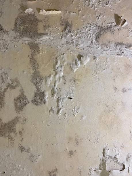 Home Mold Removal in Hobart, OK
