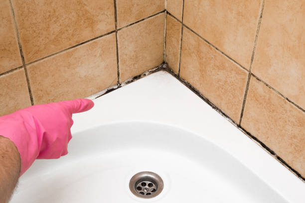 Best Mold Cleaning Services  in Hobart, OK
